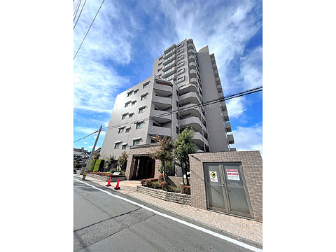 現地外観写真 外観