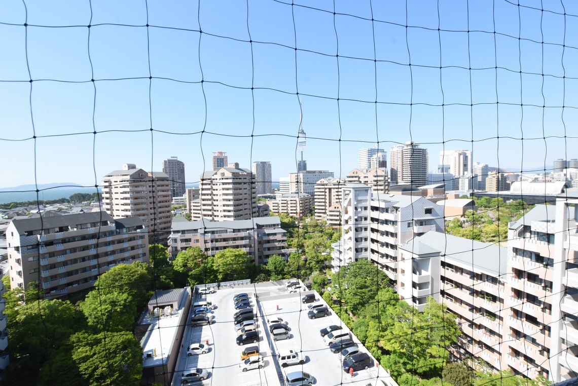 シーサイドももちヴェルデコート６番館その他現地