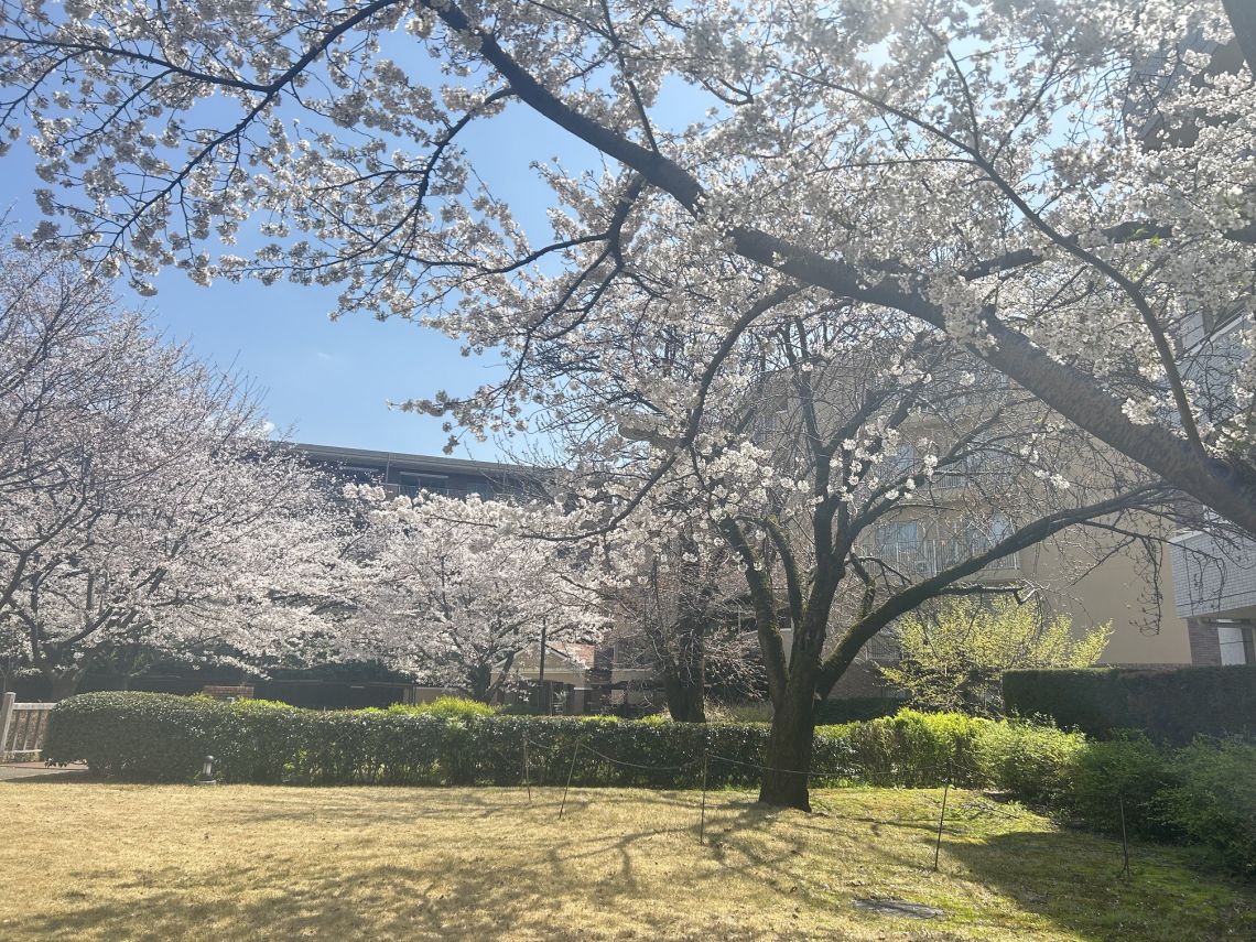 フォレストレイクひばりが丘Ｎ棟その他現地