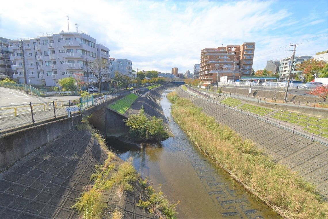 ダイアパレス永山ホワイトエレガンスその他現地