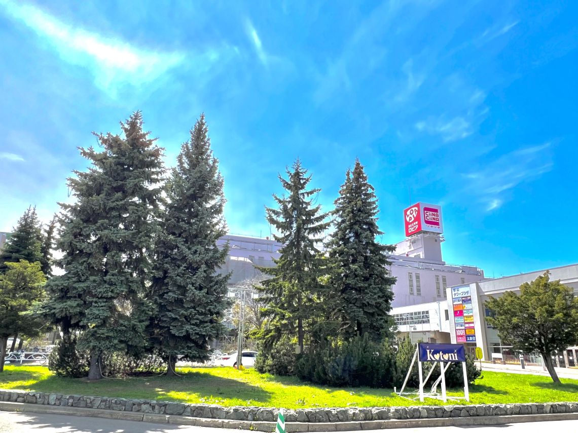 ライオンズマンション琴似壱番館その他現地