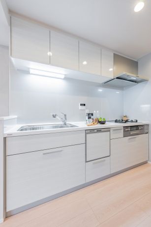 レクセルマンション平塚見附町キッチン