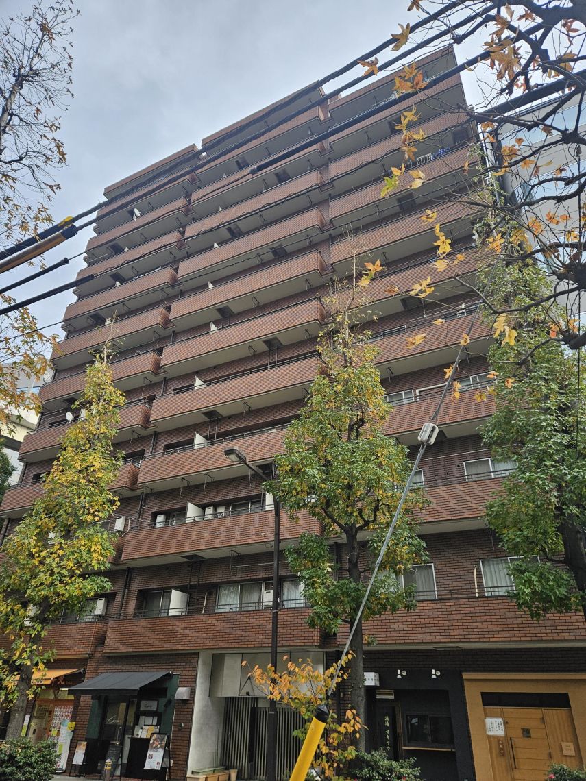 ニューシティハイツ日本橋現地外観写真