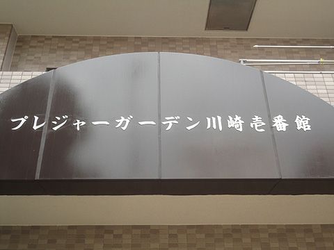 プレジャー・ガーデン川崎現地外観写真