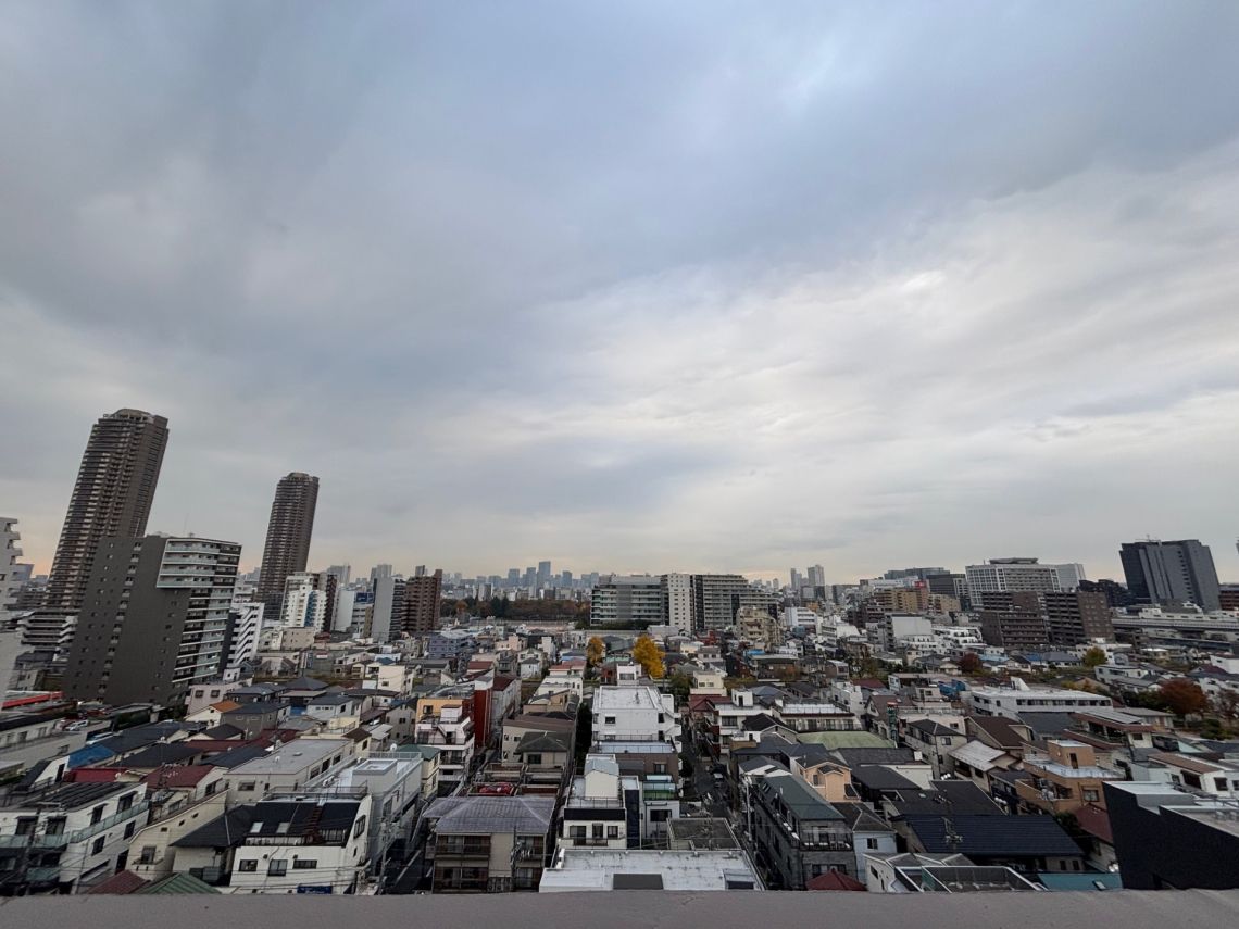 ライオンズステーションプラザ西大島その他現地