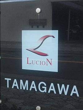 ルシオン多摩川その他共用部
