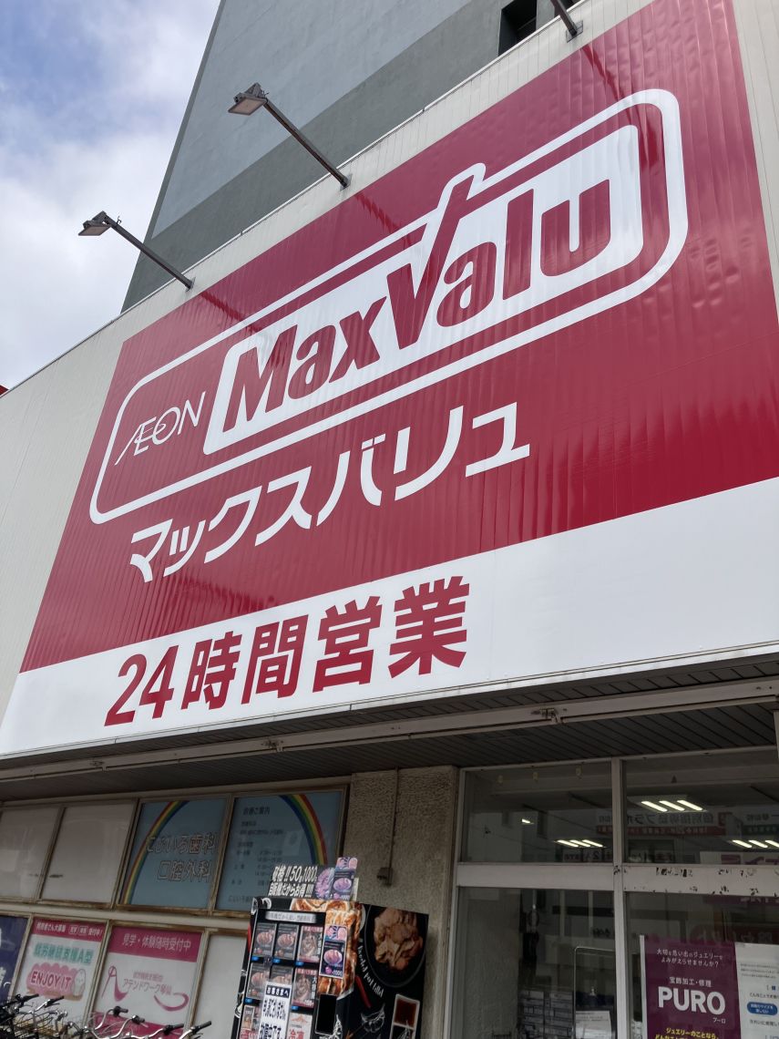 ダイアパレス琴似第六その他現地
