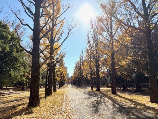光が丘パークタウン公園南４号棟公園