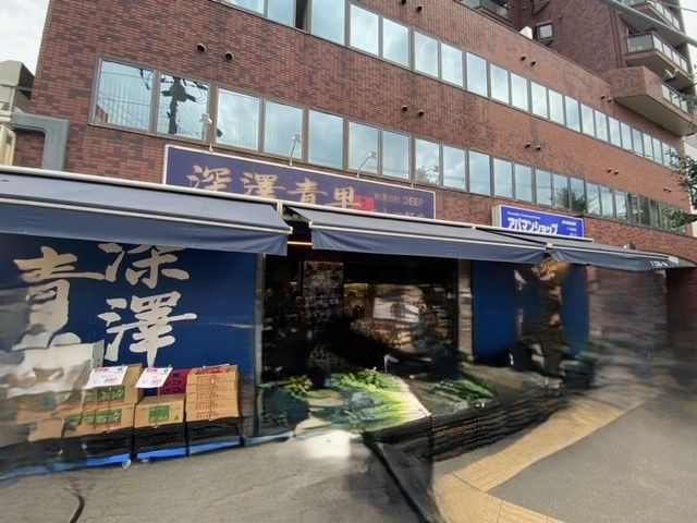 ダイアパレス二十四軒ステーションスーパー