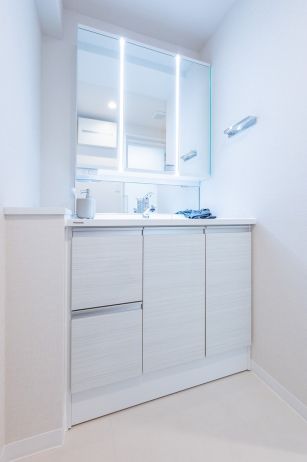 ライオンズヒルズ北寺尾洗面台・洗面所