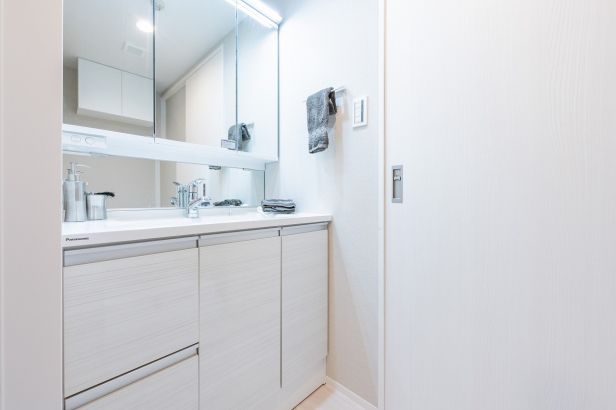 メロディーハイム草加高砂洗面台・洗面所