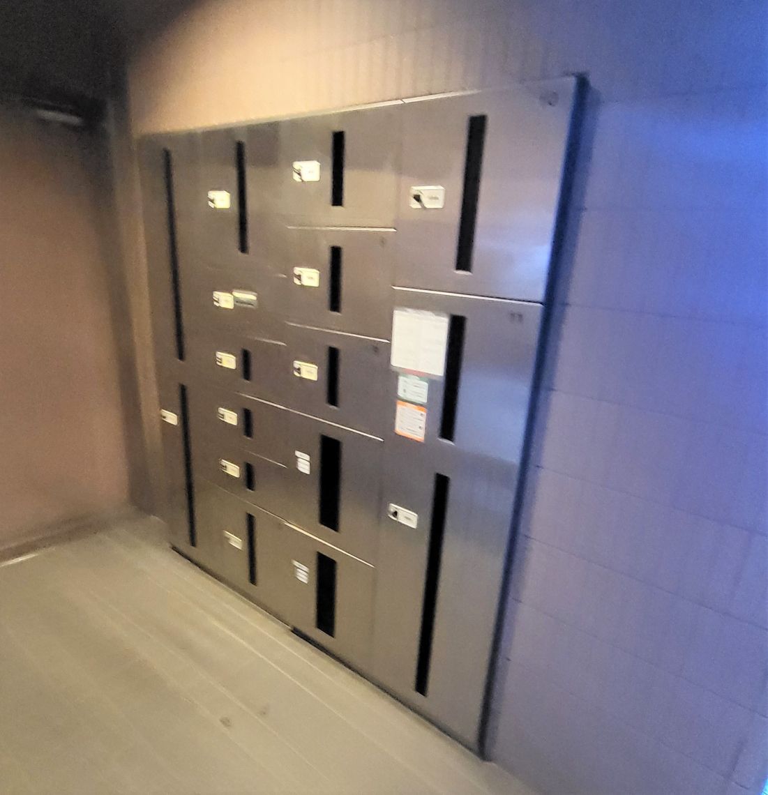 ドミール円山北二条その他共用部