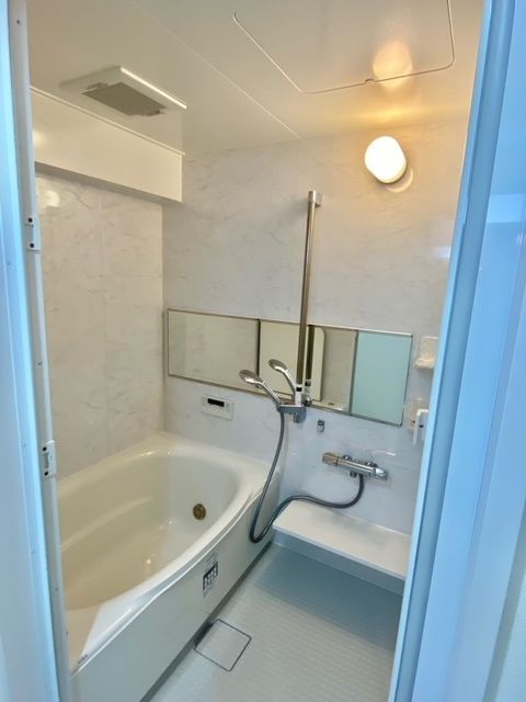 ダイアパレス二十四軒ステーション浴室