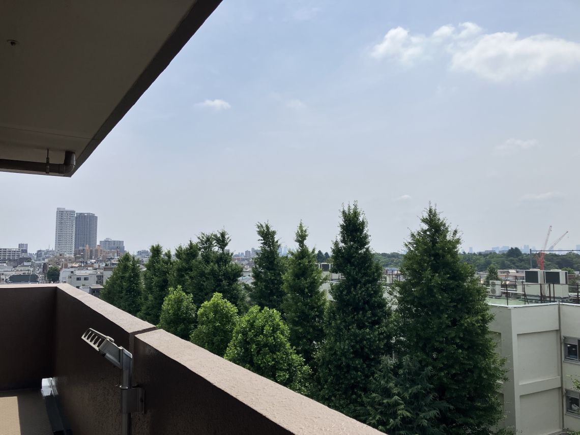 ライオンズヴィアーレ石神井公園その他現地