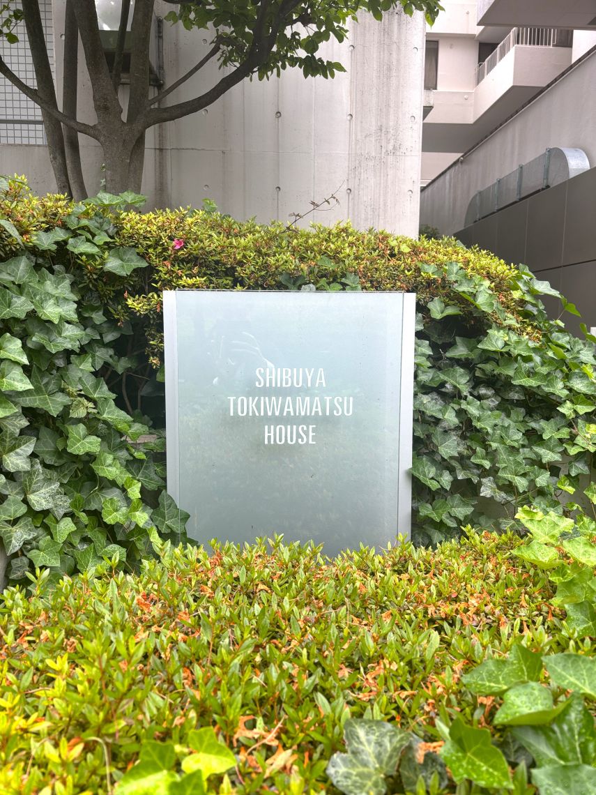 渋谷常磐松ハウスその他現地