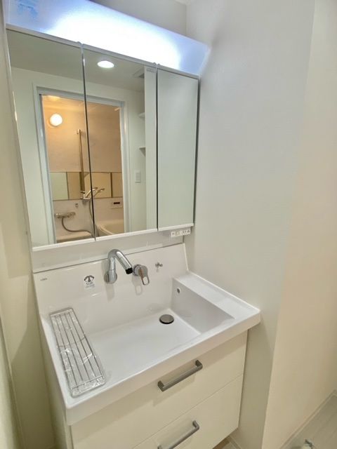 ダイアパレス二十四軒ステーション洗面台・洗面所