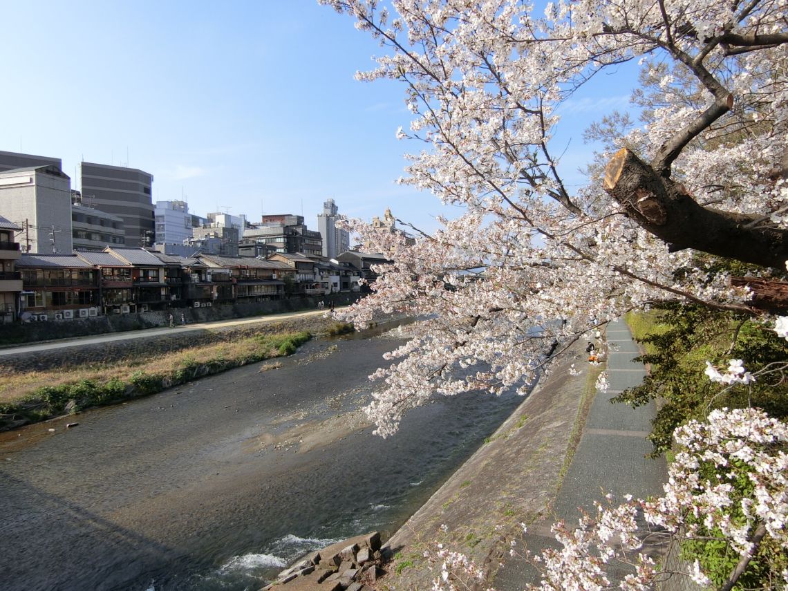ライオンズマンション祇園その他現地