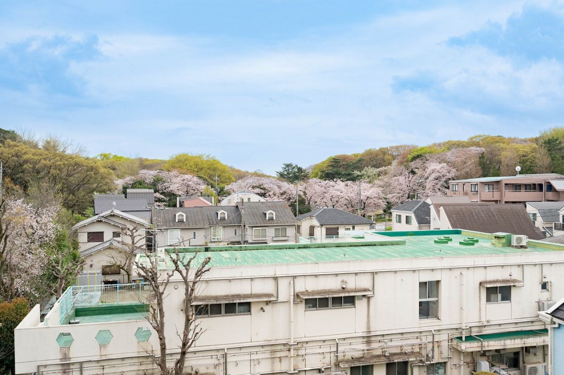 ハイホーム砧公園その他現地