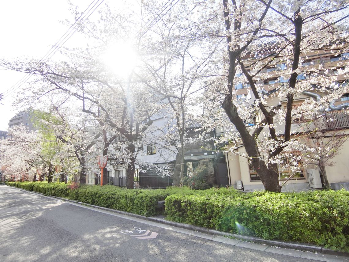 ライオンズマンション祇園その他現地