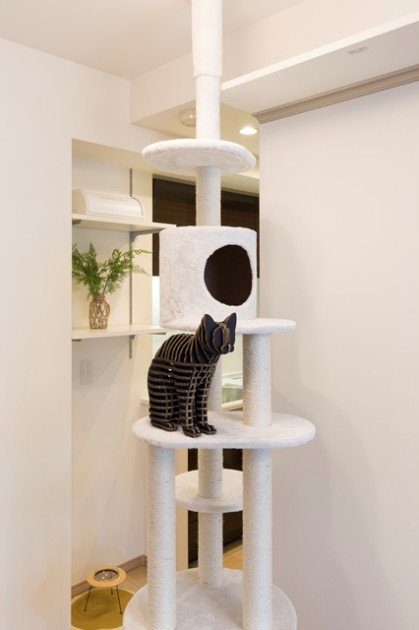 猫が自由に歩き回ってくつろげる猫ファーストな1LDK