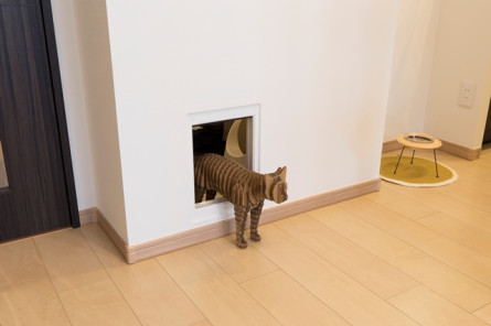 猫専用ドア