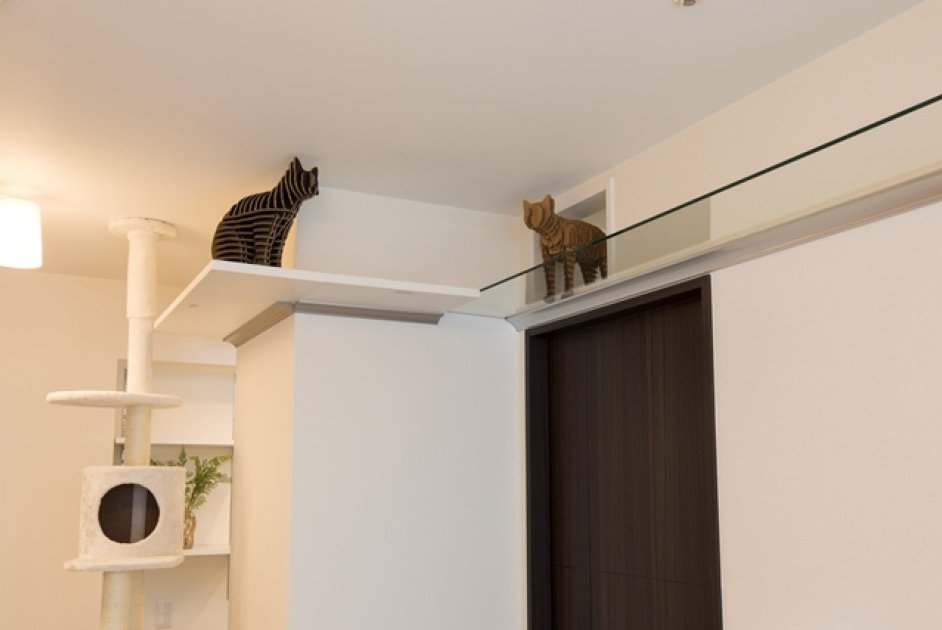 キャットウォーク