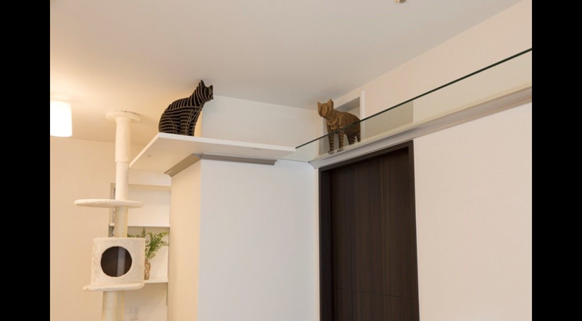 猫が自由に歩き回ってくつろげる猫ファーストな1ldk Renoalpha 猫が自由に歩き回ってくつろげる猫ファーストな1ldk Renoalpha