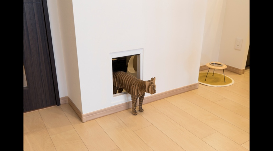 猫が自由に歩き回ってくつろげる猫ファーストな1ldk Renoalpha 猫が自由に歩き回ってくつろげる猫ファーストな1ldk Renoalpha